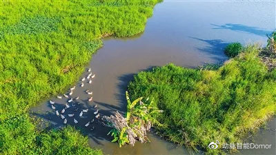蓄洪防澇、建設(shè)海綿城市，保護利用濕地不能忘記